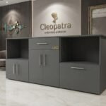 Grey The cleopatra modern multi storage credenza
