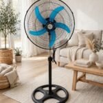 Fan